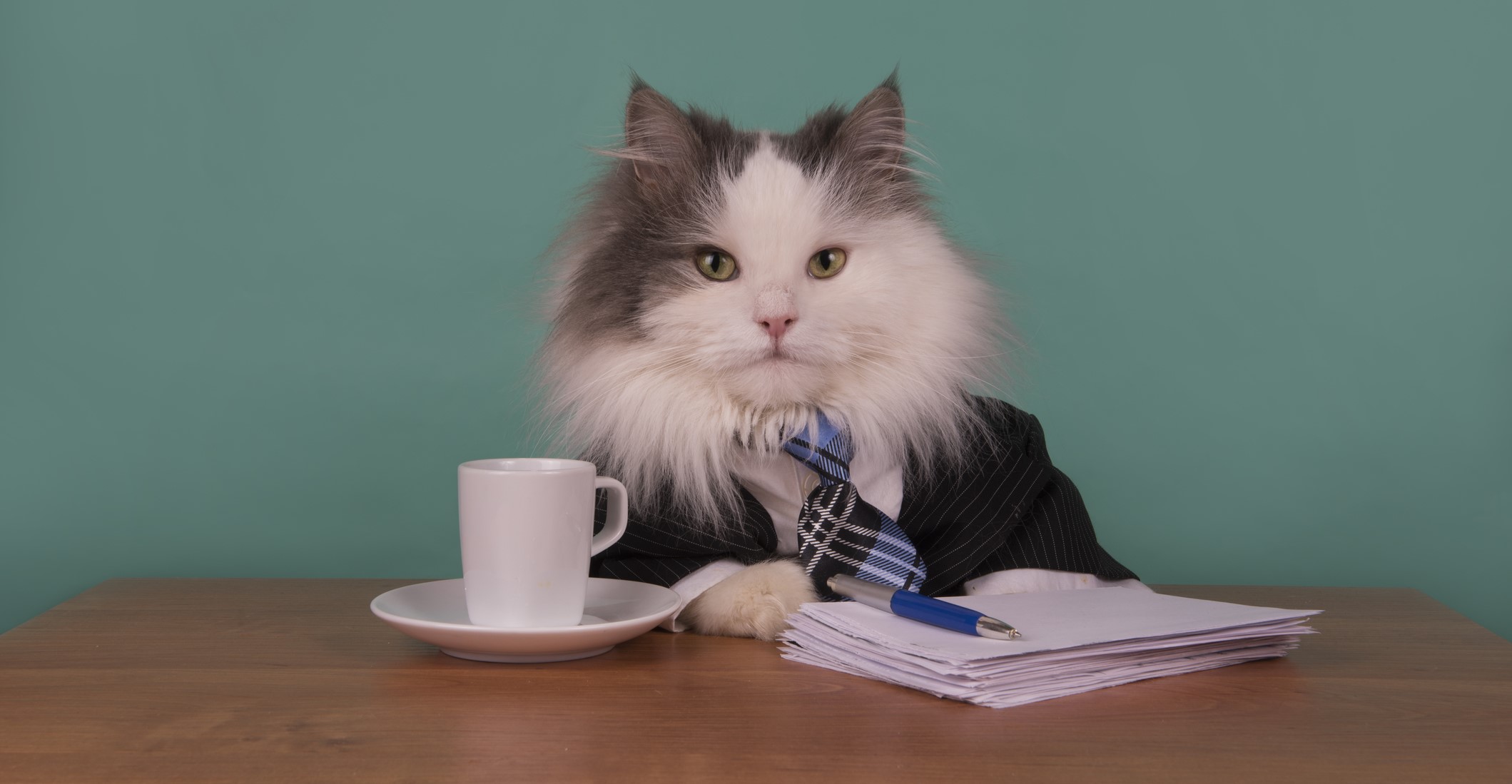 The surprising truth about the 40 hour workweek job crusher