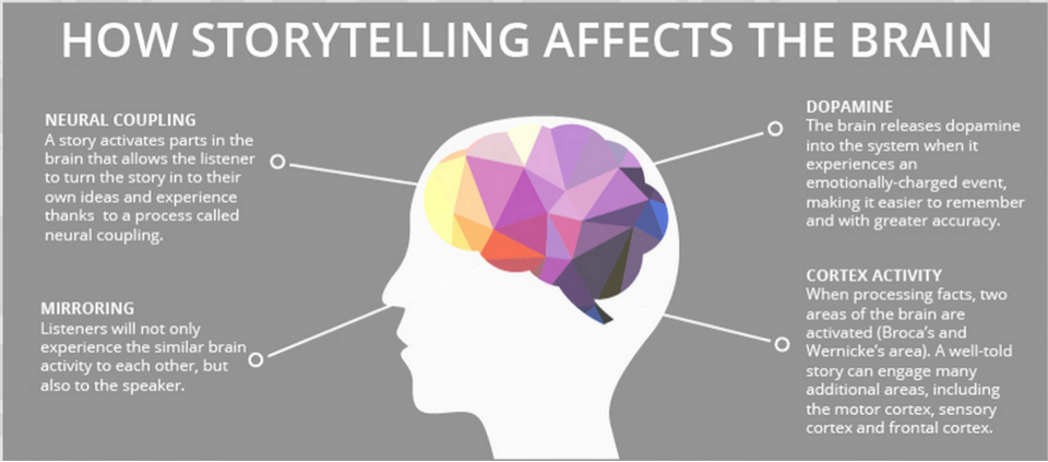 storytelling affects brain
